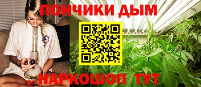 PSILOCYBIN Кунгур
